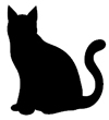 Cat Collars
