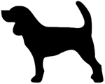 Small Dog Collars